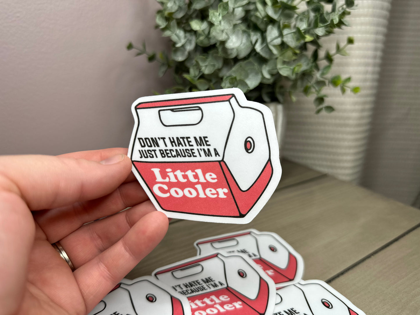 Don’t Hate Me Just Because I’m A Little Cooler Sticker